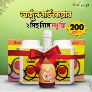 দুই ফাইল-ফুল কোর্স
